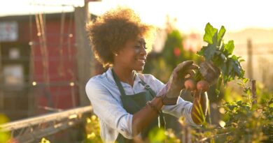 Farmer Jobs In Canada