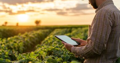 Farm Assistant Jobs in Auckland