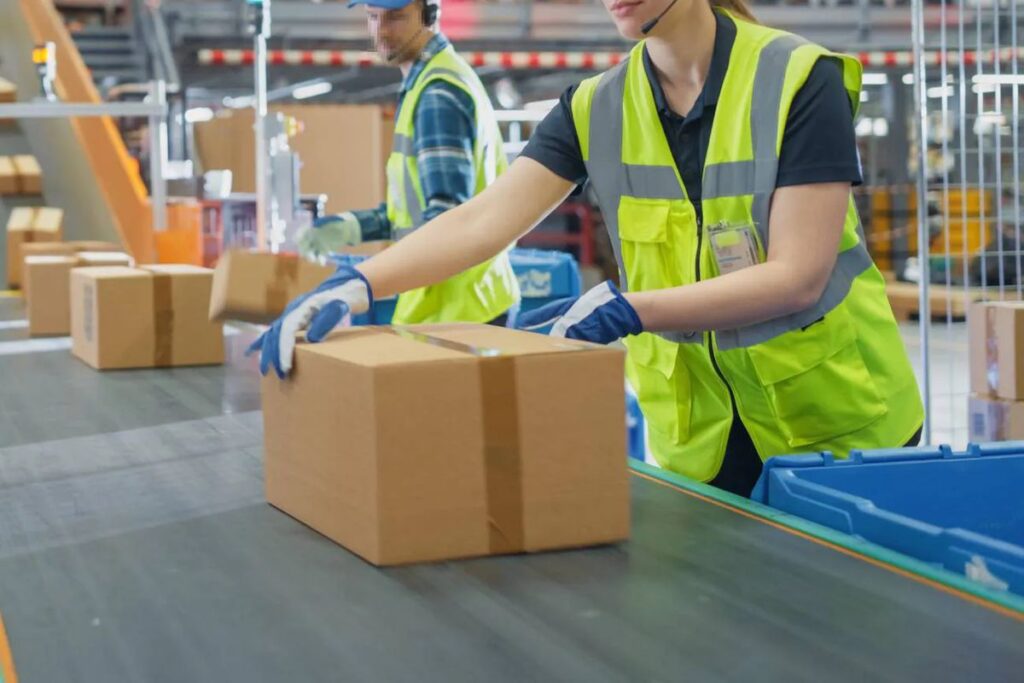 Picker Packer in New Zealand