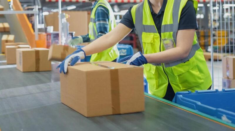 Picker Packer in New Zealand