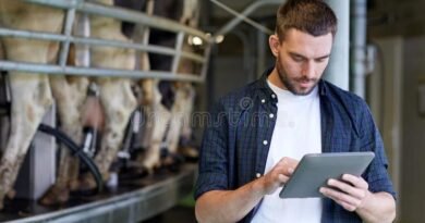 Dairy Farm Assistant Jobs in New Zealand