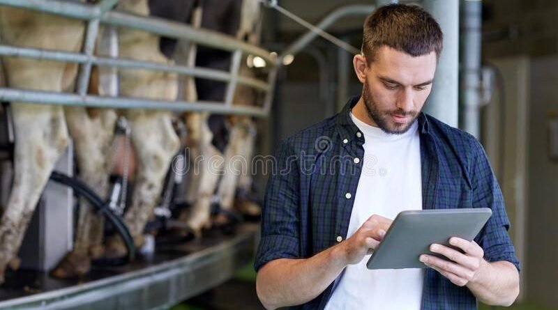 Dairy Farm Assistant Jobs in New Zealand