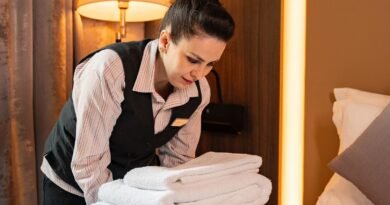 Housekeeper Jobs in Argentina