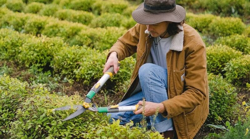 Farm Worker Jobs in UK