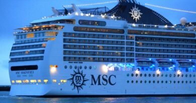 MSC Housekeeping Attendant in Mexico