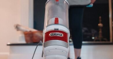 House Cleaner Jobs in Mexico