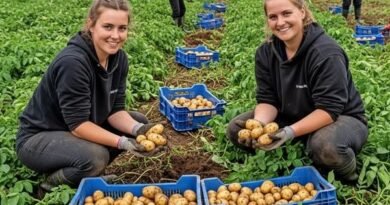 Farm worker Jobs in Canada