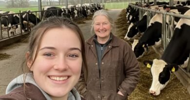 Dairy Farm Assistant in New Zealand