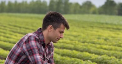 Farm Worker Jobs in Canada