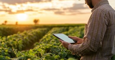 Farm Manager Jobs in Dubai