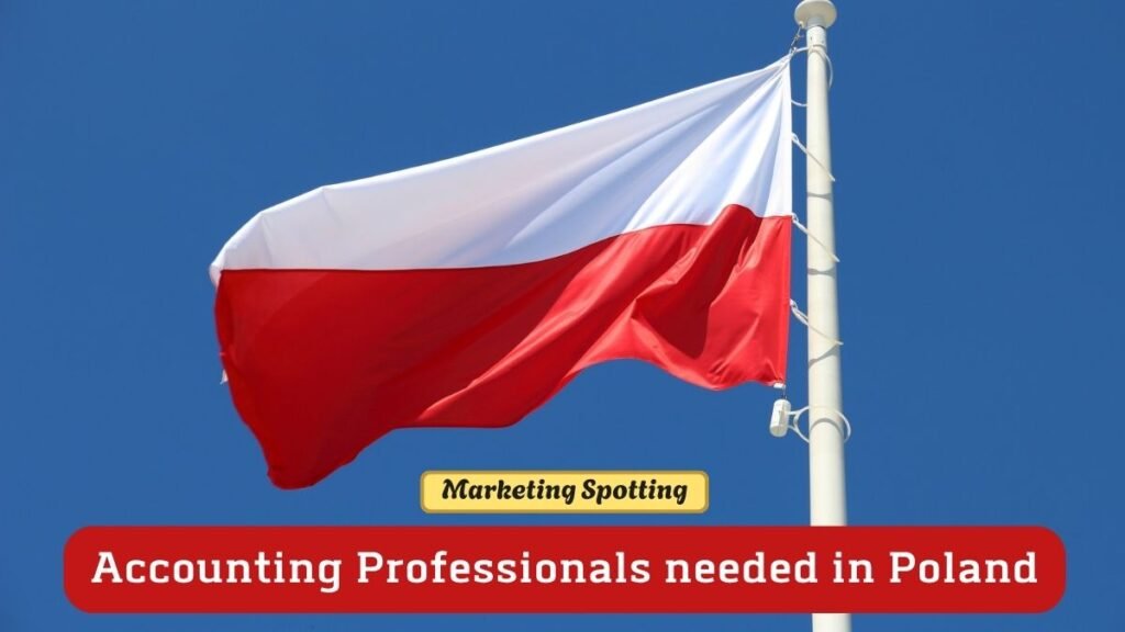 Accounting Professionals jobs in Poland